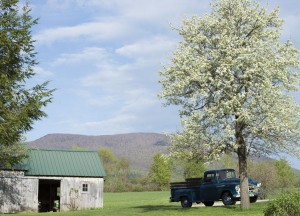 Manchester, Vt.:  May Time 5/8/13