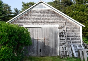 Chappaquiddick Island, MA:  Shed 6/22/13