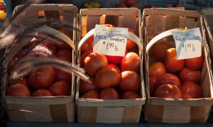 Little Compton, RI:  Farm Stand  9/3/12