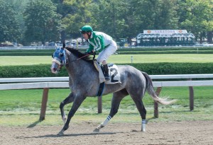 Saratoga, NY:  Warming up for the 5th race  8/27/13