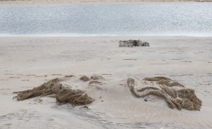 Plum Island, MA:  Jetsam  5/4/14