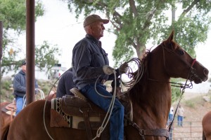 Mayer, AZ:  Header in the chute at the ready  4/25/15