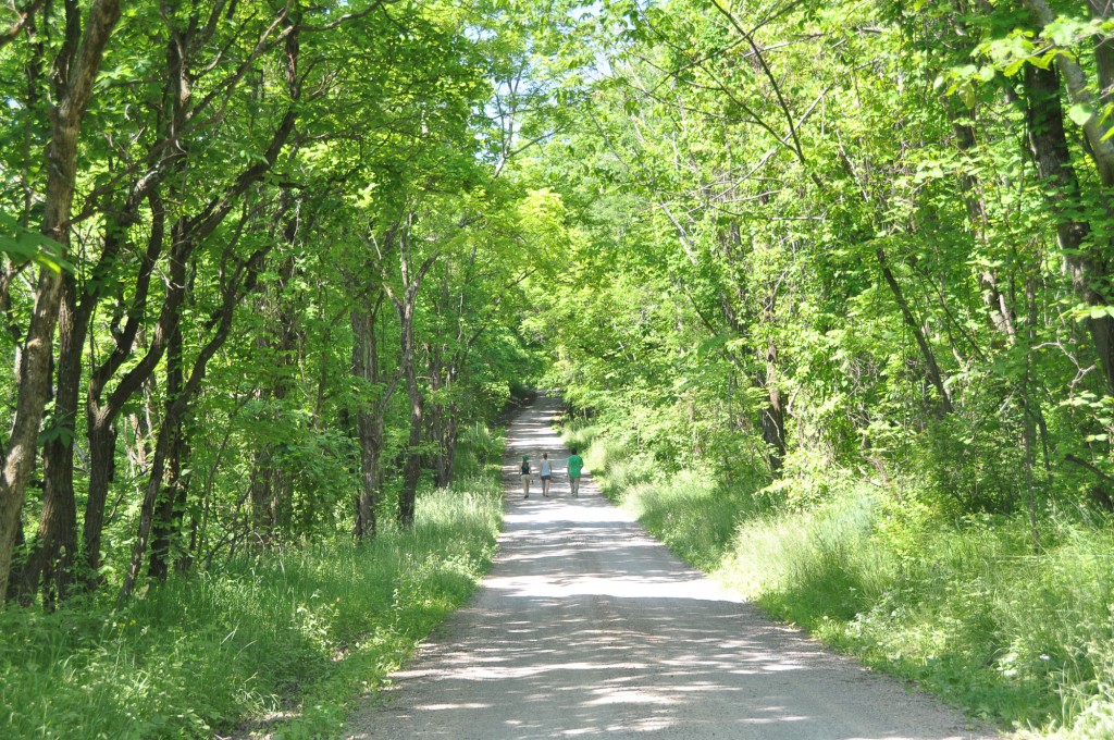 Warnock, Ohio: Appalachian Spring, Dysart Woods 5/29/10